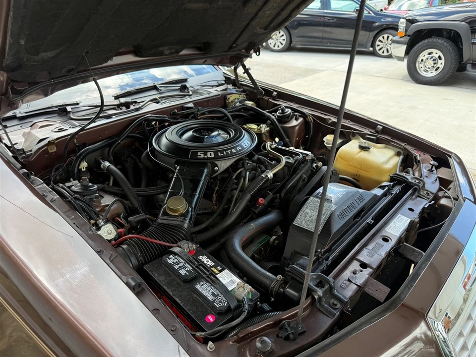 1984 Ford Thunderbird 9th Gen - Image 11 of 16