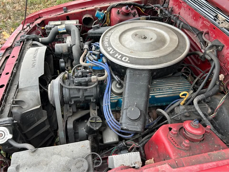 1984 Ford GT - Image 6 of 8