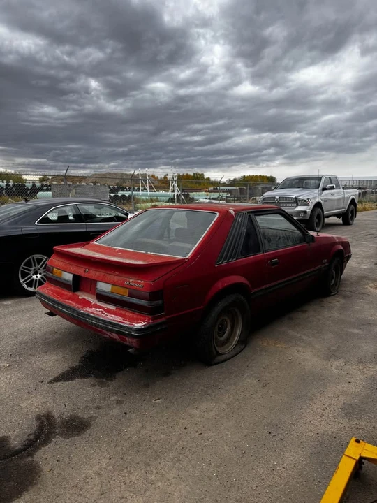 1984 Ford Mustang 3rd Gen - Image 5 of 7