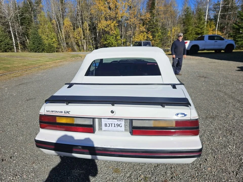 1984 Ford Mustang 3rd Gen - Image 3 of 6