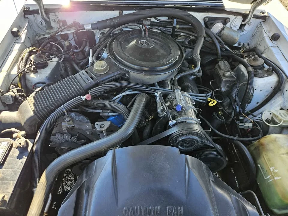 1984 Ford Mustang 3rd Gen - Image 6 of 6