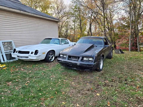 1984 Ford Mustang GT350