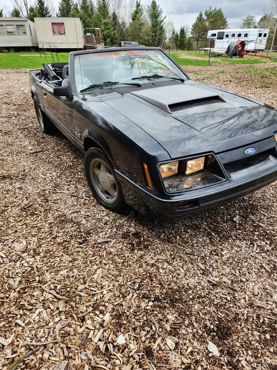 1984 Ford Mustang GT 3rd Gen - Image 2 of 6