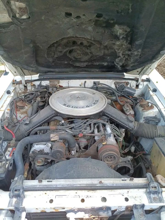 1984 Ford Mustang GT 3rd Gen - Image 5 of 5