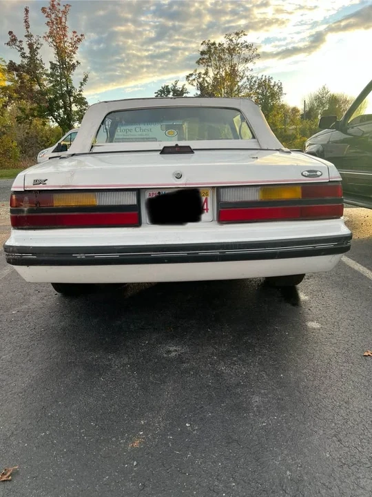 1984 Ford Mustang 3rd Gen - Image 4 of 15