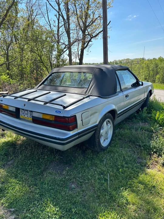 1984 Ford Mustang 3rd Gen - Image 6 of 6