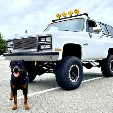 1984 GMC Jimmy
