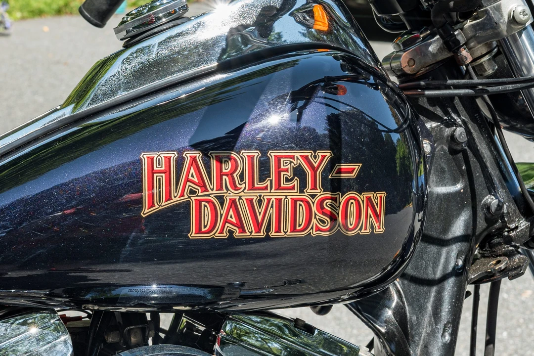 1984 Harley-Davidson FXR - Image 22 of 31