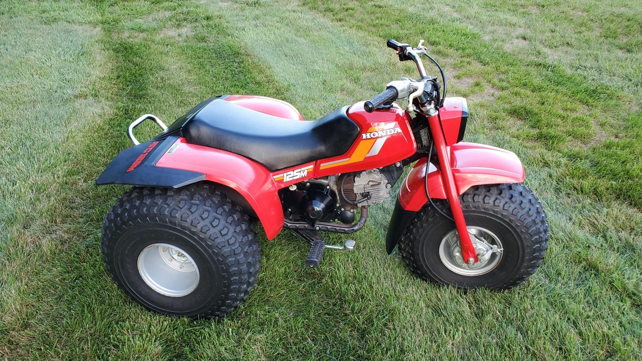 1984 Honda ATV - Image 5 of 31
