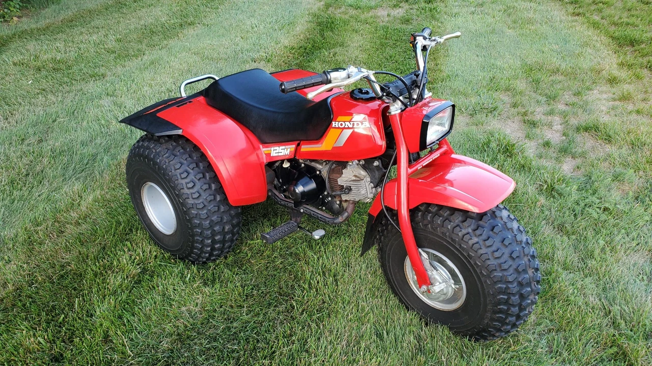1984 Honda ATV - Image 3 of 31