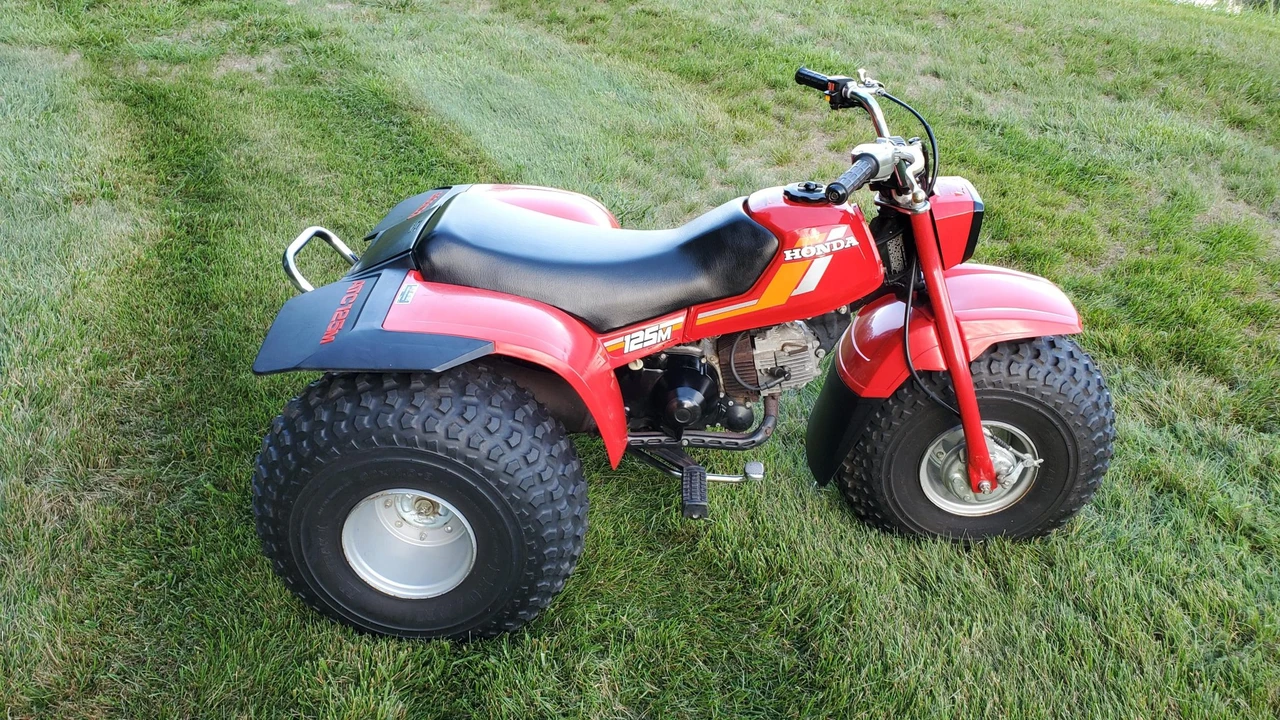 1984 Honda ATV - Image 6 of 31