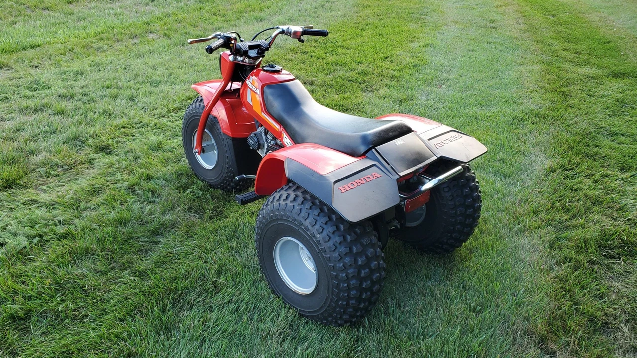 1984 Honda ATV - Image 11 of 31