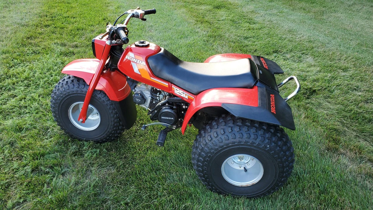 1984 Honda ATV - Image 12 of 31
