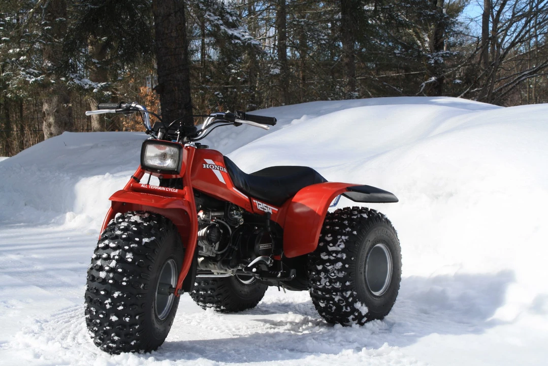 1984 Honda ATV - Image 18 of 31