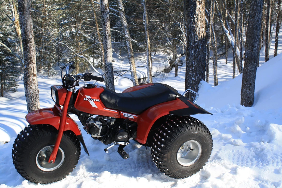 1984 Honda ATV - Image 8 of 31