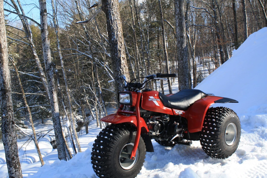 1984 Honda ATV - Image 17 of 31