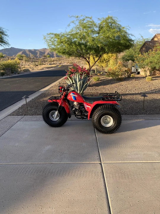 1984 Honda ATV - Image 4 of 31