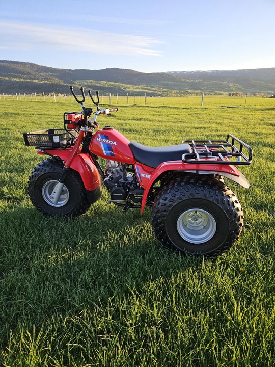 1984 Honda ATV - Image 13 of 31
