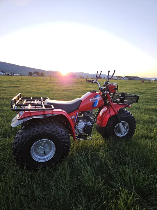 1984 Honda ATV - Image 8 of 31