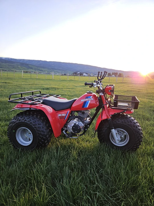 1984 Honda ATV - Image 7 of 31