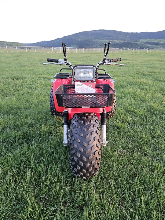 1984 Honda ATV - Image 22 of 31