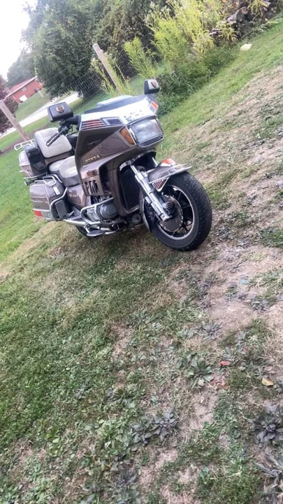 1984 Honda Gold Wing - Image 4 of 4
