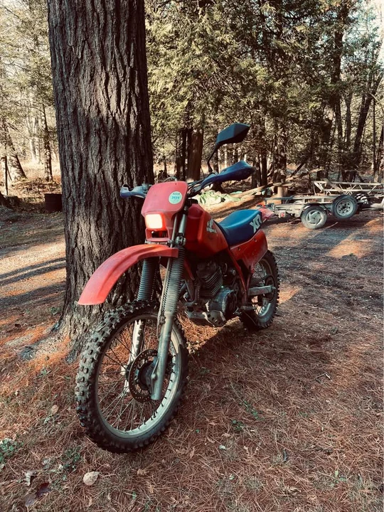 1984 Honda XR - Image 8 of 10