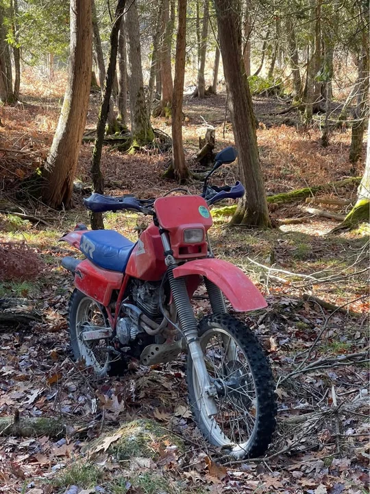 1984 Honda XR - Image 9 of 10