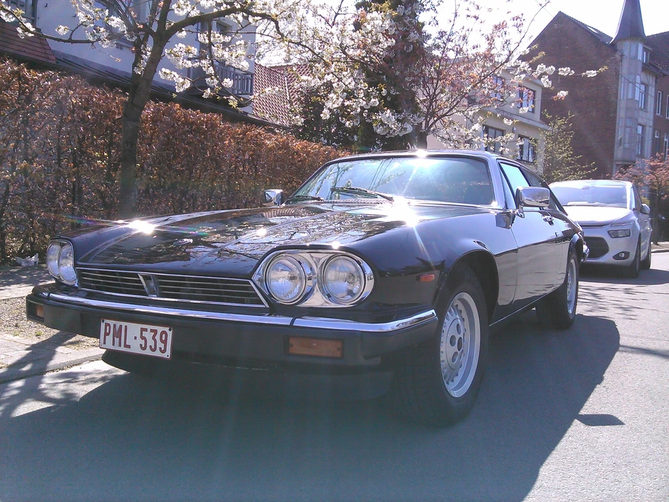 1984 Jaguar XJS Pre-Facelift V12 - Image 16 of 16
