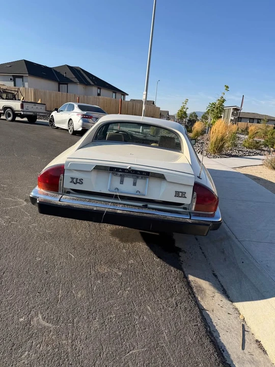 1984 Jaguar XJS Pre-Facelift V12 - Image 6 of 9