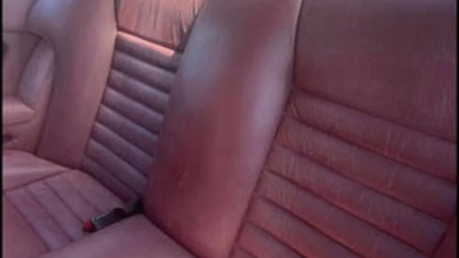 1984 Jaguar XJS - Image 8 of 19