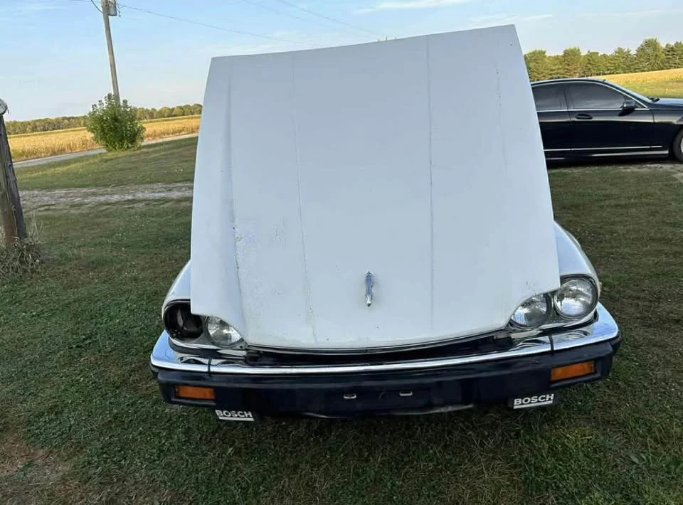 1984 Jaguar XJS Pre-Facelift V12 - Image 4 of 5