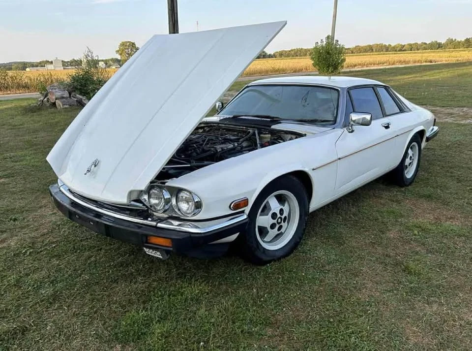 1984 Jaguar XJS Pre-Facelift V12 - Image 3 of 5