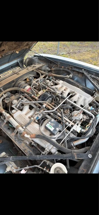1984 Jaguar XJS Pre-Facelift V12 - Image 3 of 3