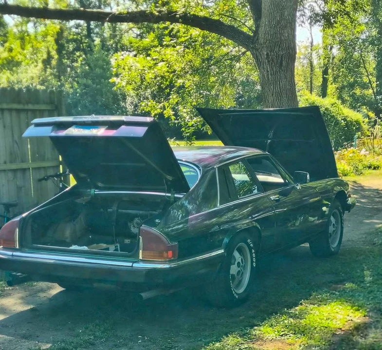 1984 Jaguar XJS - Image 5 of 9