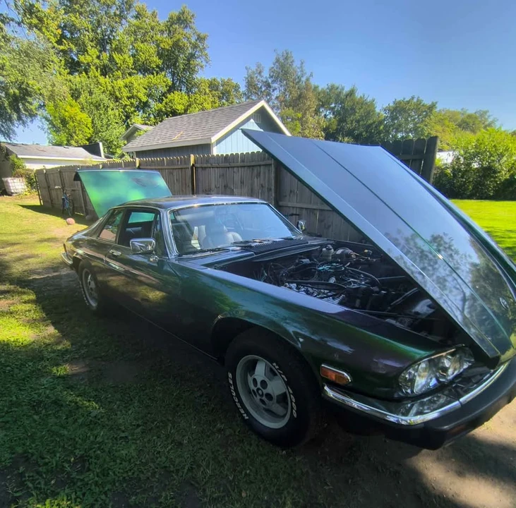 1984 Jaguar XJS - Image 6 of 9