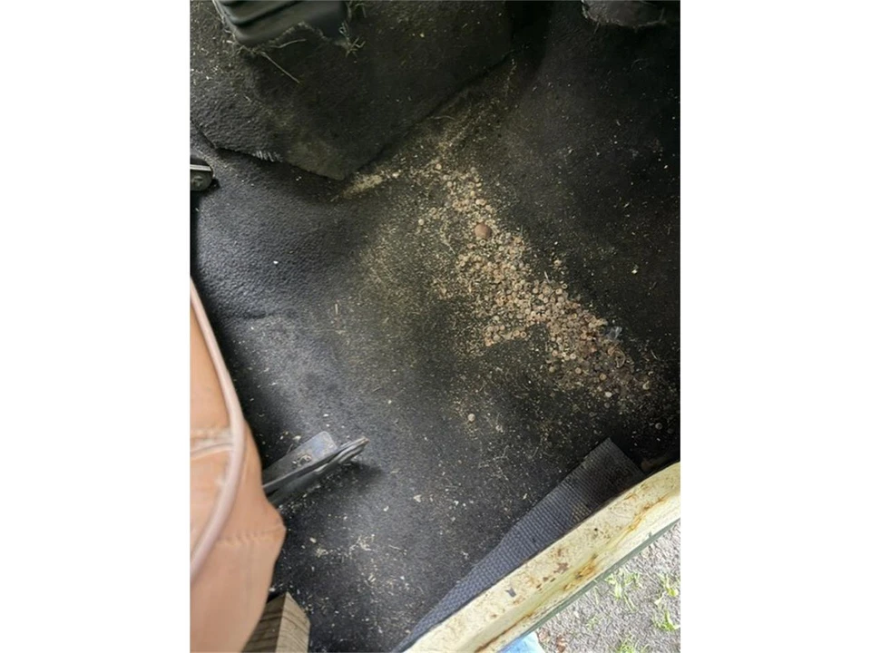 1984 Jeep CJ7 - Image 21 of 24