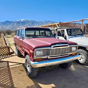 1984 Jeep Grand Wagoneer