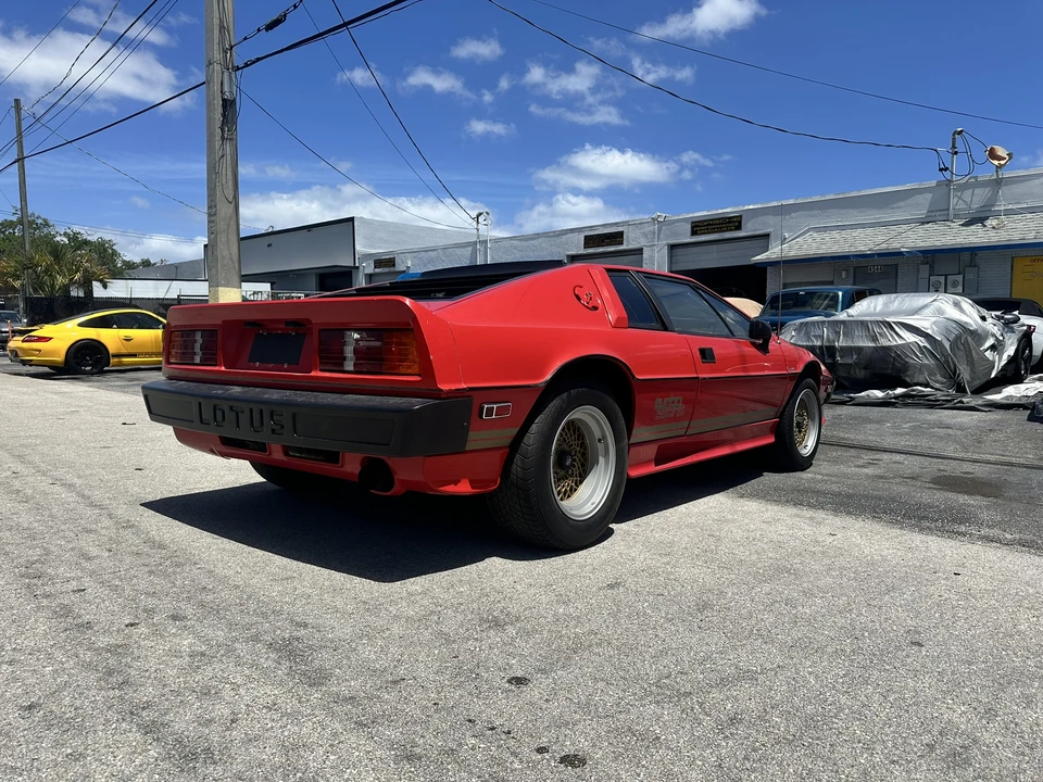 1984 Lotus Esprit Series 3 & Turbo - Image 12 of 31