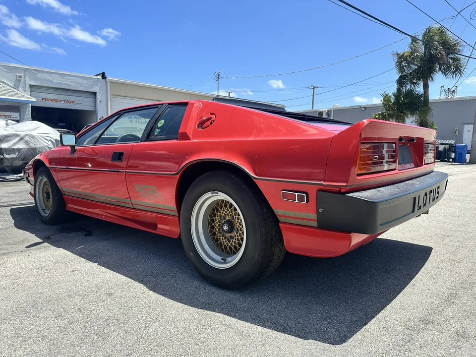 1984 Lotus Esprit Series 3 & Turbo - Image 15 of 31