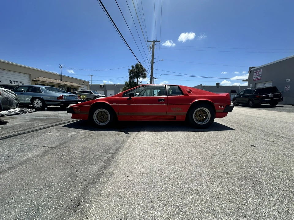 1984 Lotus Esprit Series 3 & Turbo - Image 16 of 31