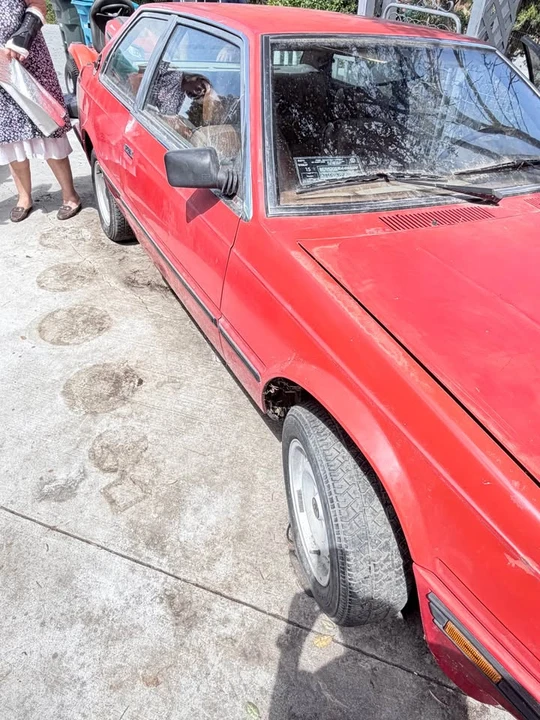 1984 Maserati Biturbo - Image 5 of 9