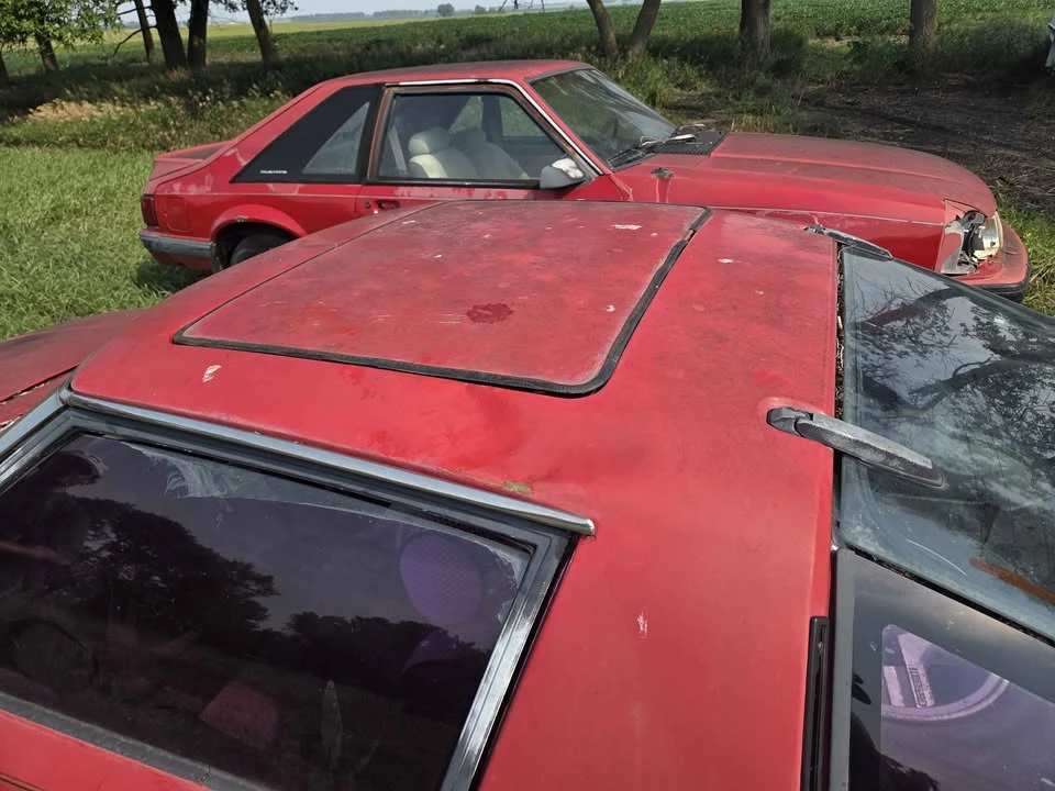 1984 Mazda RX-7 SA & FB - Image 6 of 9