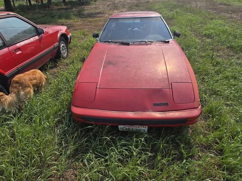 1984 Mazda RX-7 SA & FB - Image 2 of 9