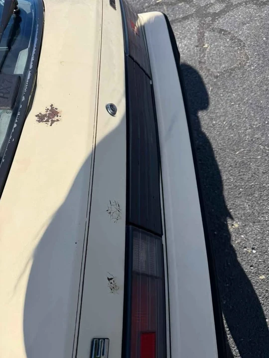 1984 Mazda RX-7 SA & FB - Image 19 of 20