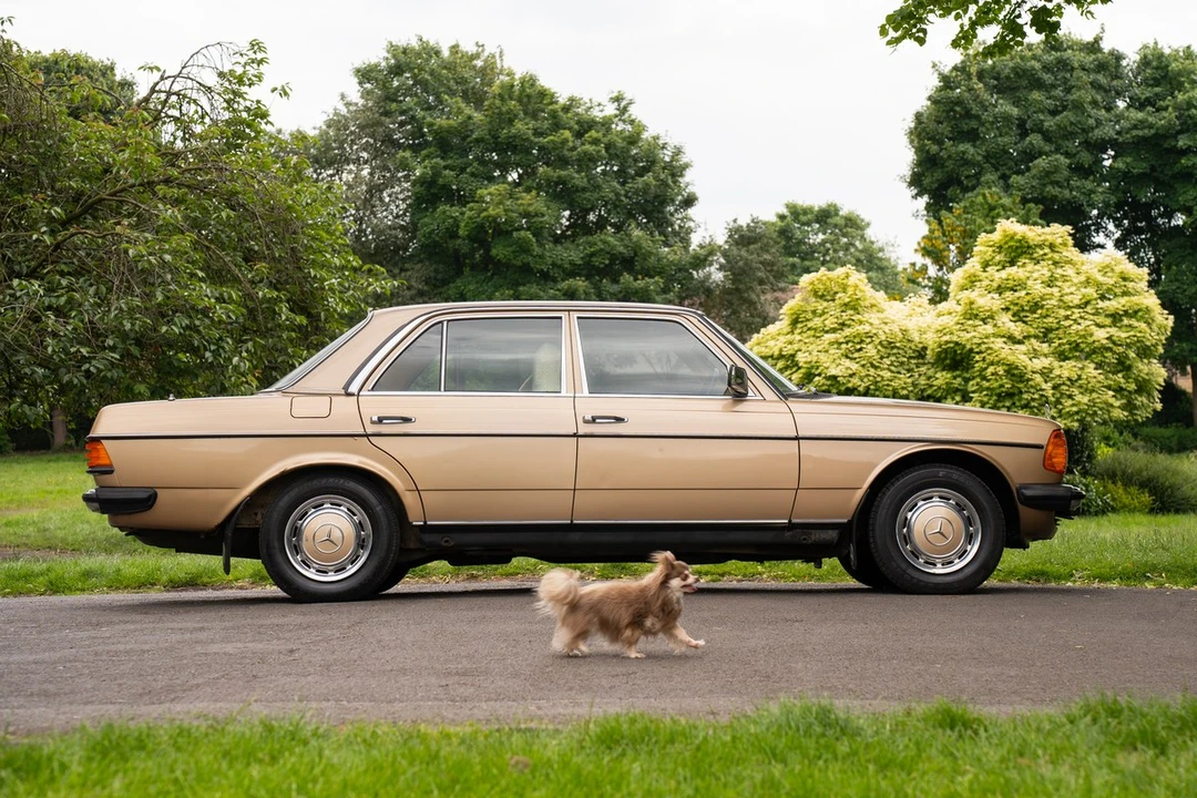 1984 Mercedes-Benz E-Class - Image 19 of 30