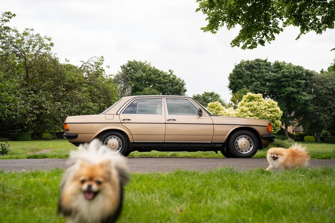 1984 Mercedes-Benz E-Class - Image 18 of 30