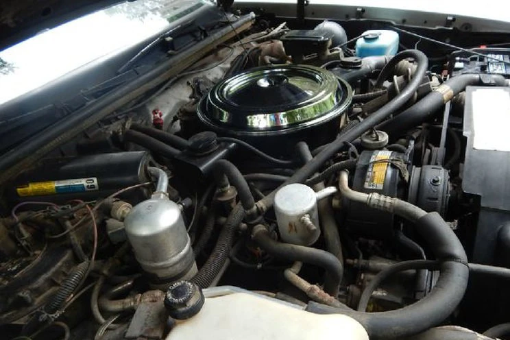 1984 Oldsmobile Hurst/Olds - Image 3 of 5