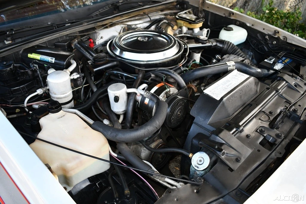 1984 Oldsmobile Hurst/Olds - Image 24 of 24