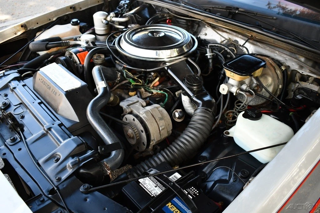 1984 Oldsmobile Hurst/Olds - Image 11 of 21